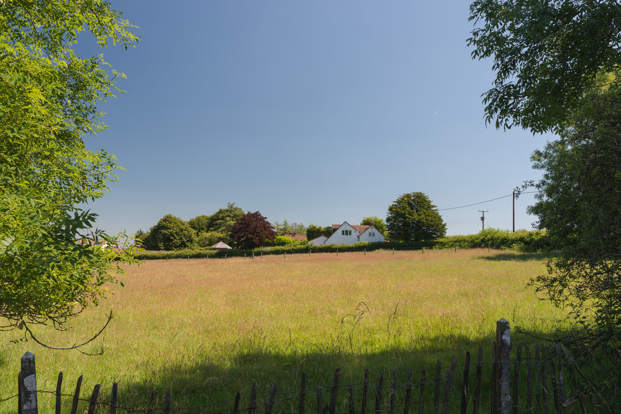 View across fields to cottage